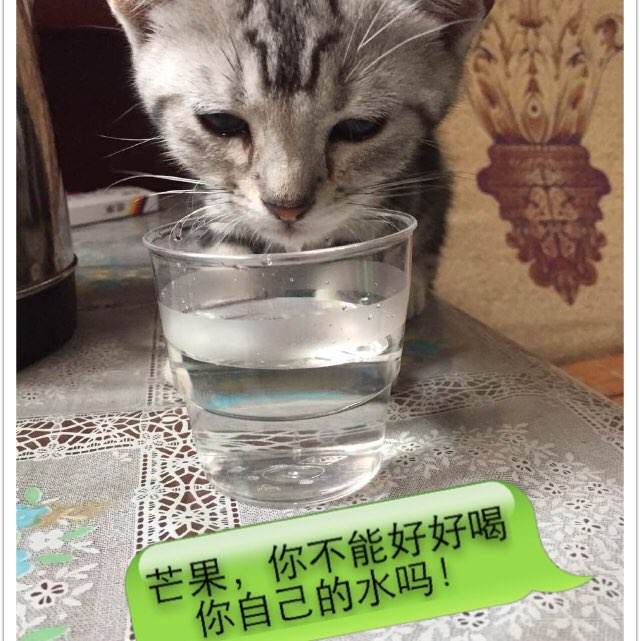 哪里可以办利哈伊大学文凭毕业证